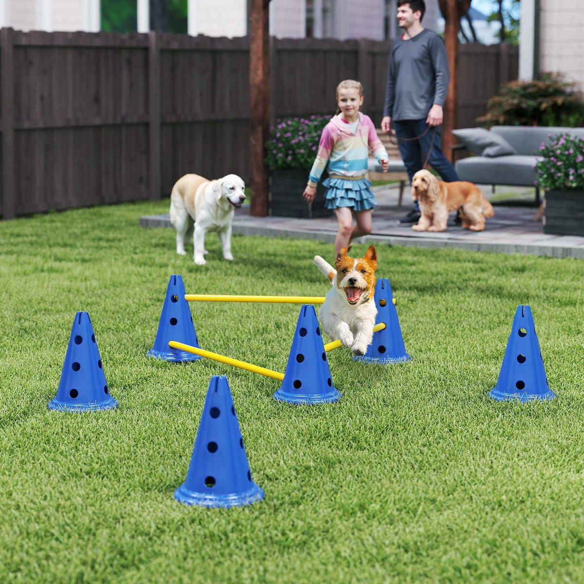 Agilityset voor honden – trainingskit bestaande uit 3 onderdelen met 6 kegels en 3 horden