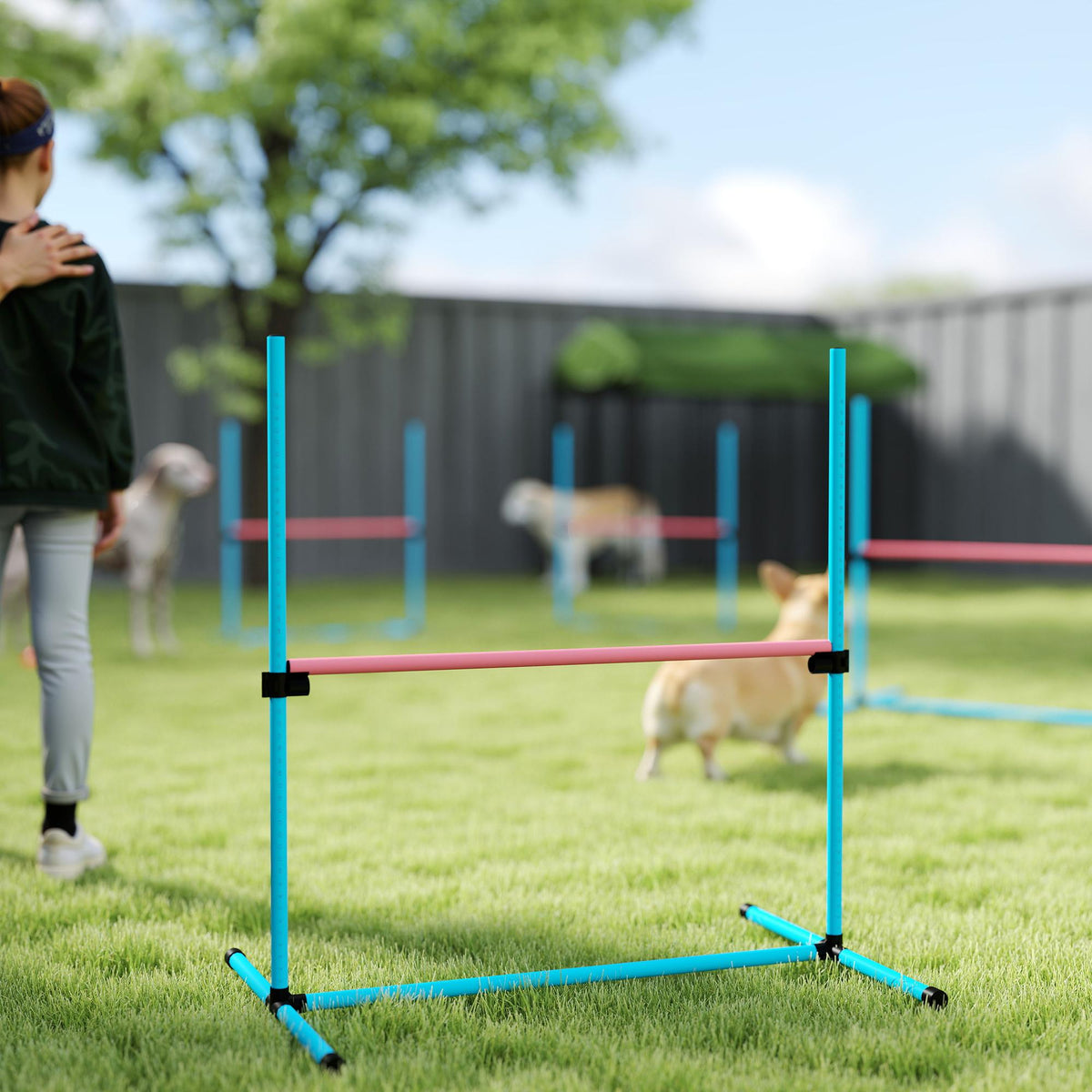 Agilityset voor honden, verstelbare hindernissen met draagtas