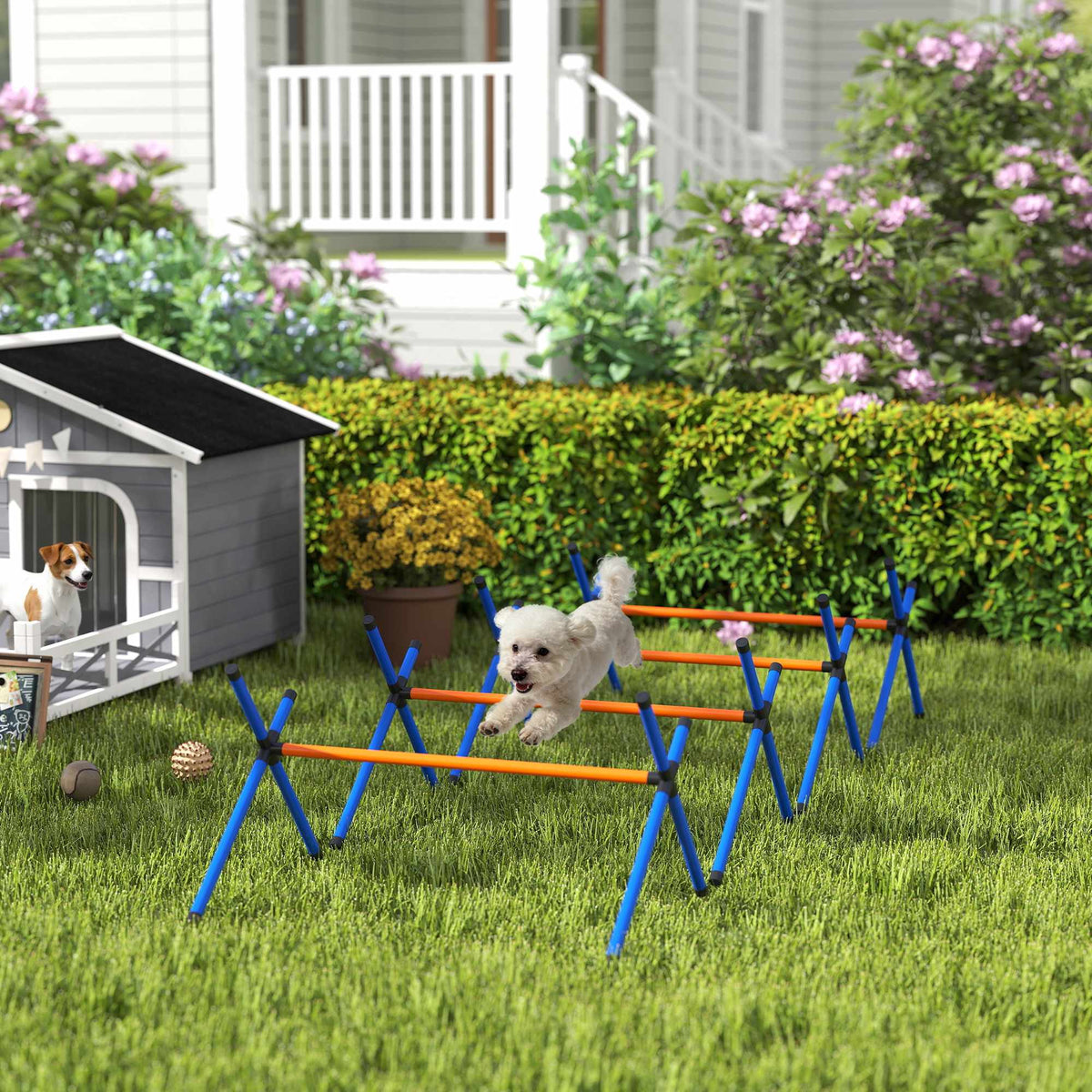 Agilitytrainingsset voor honden, verstelbare hoogtes, draagbaar