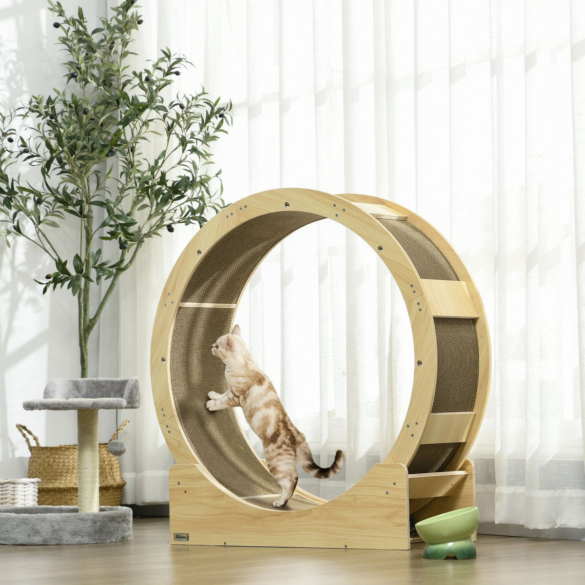 Cat Balance Bike 91 cm met rem & krabplank