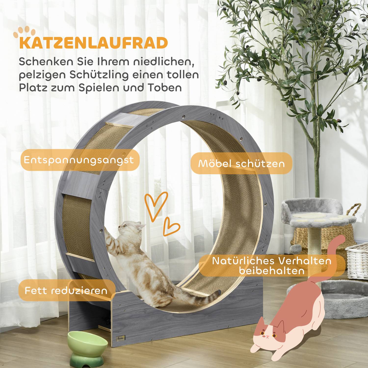 Roue d'exercice pour chat avec frein et planche à griffer, gris