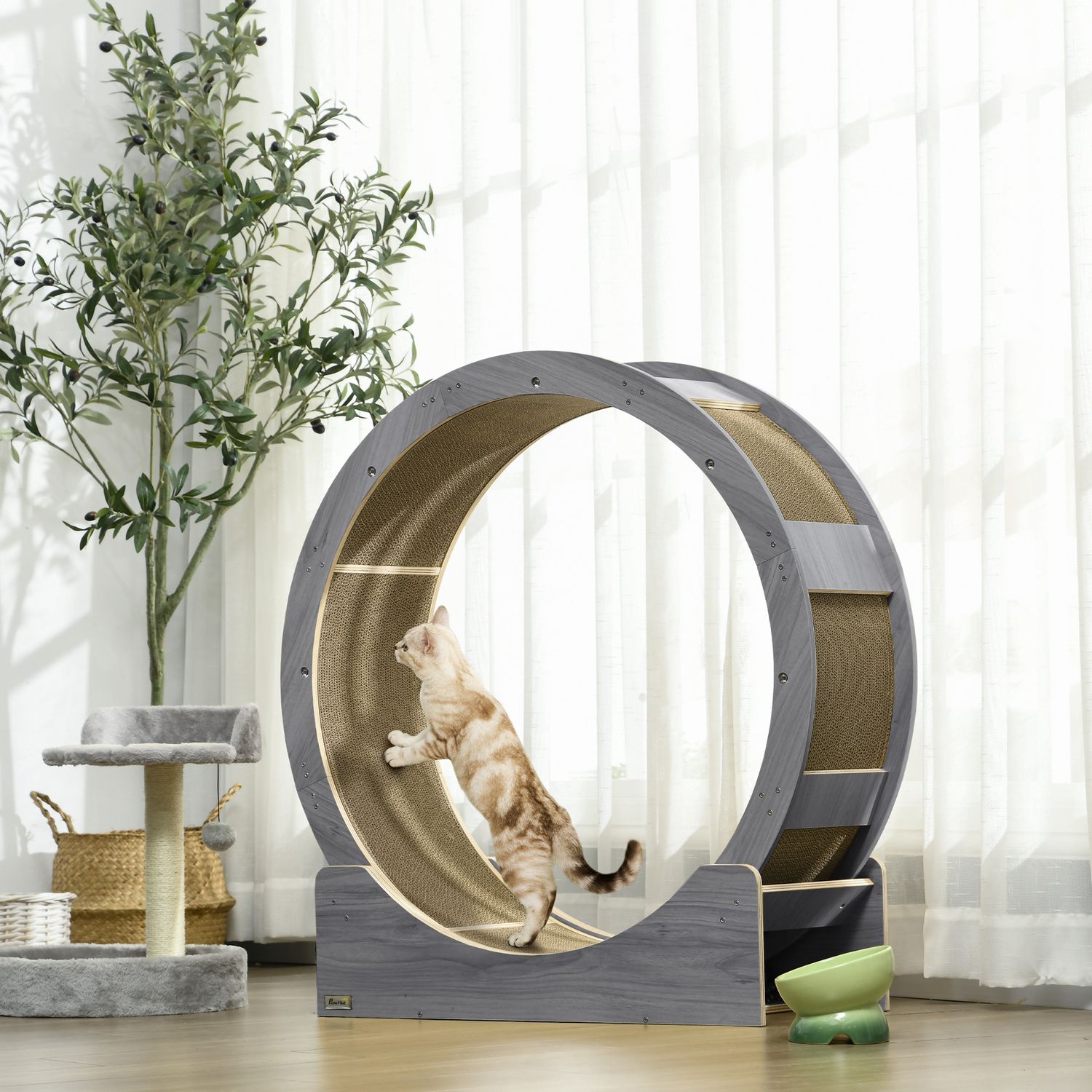 Roue d'exercice pour chat avec frein et planche à griffer, gris
