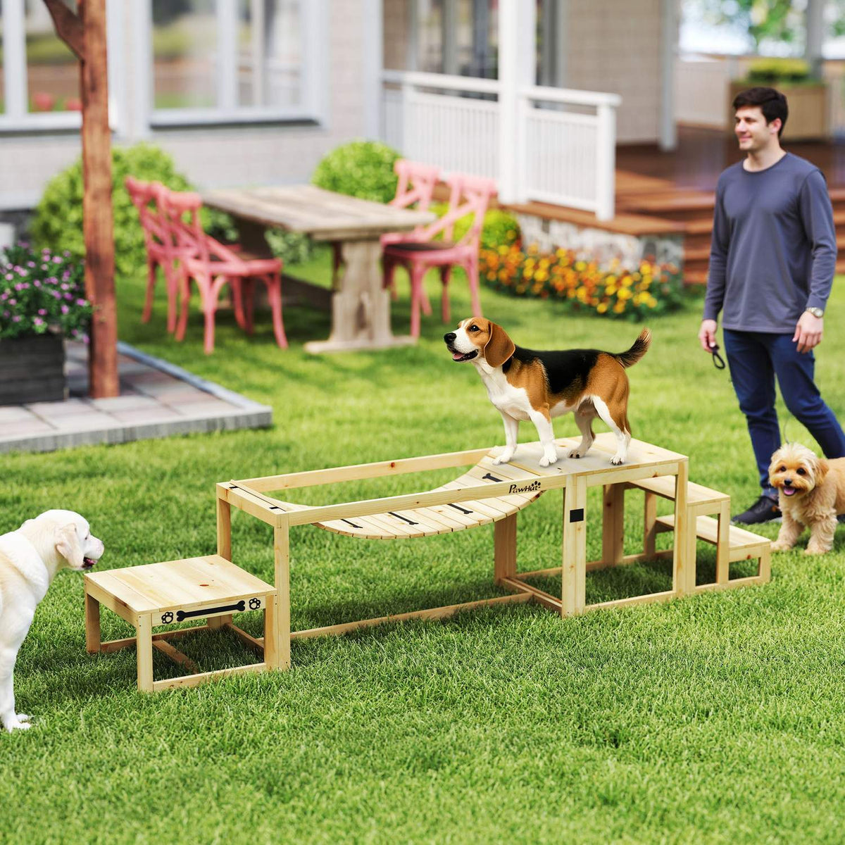 Hondenbehendigheidsset voor grote honden – Grenenhout, Set van 4