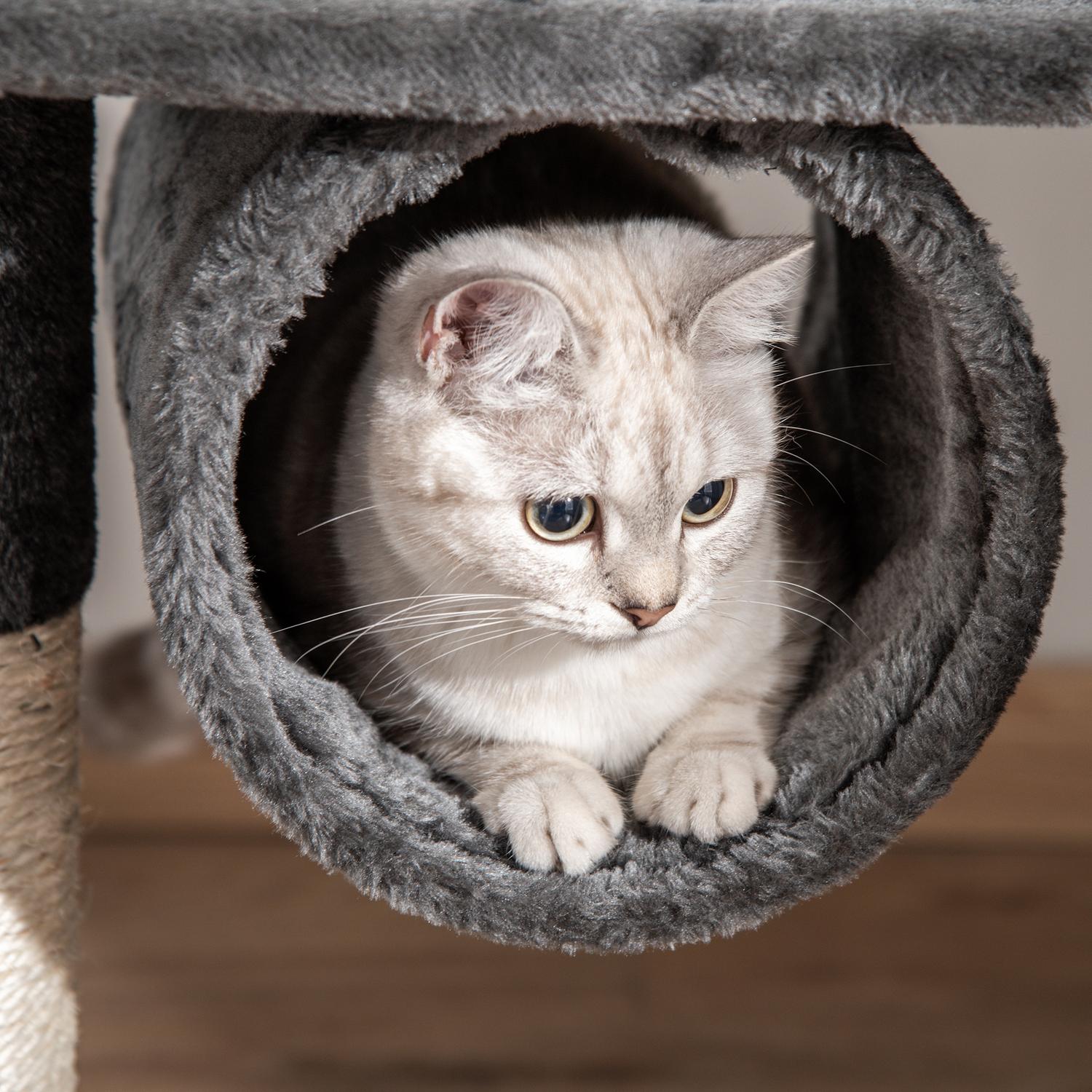 Albero per gatti regolabile a soffitto con tiragraffi
