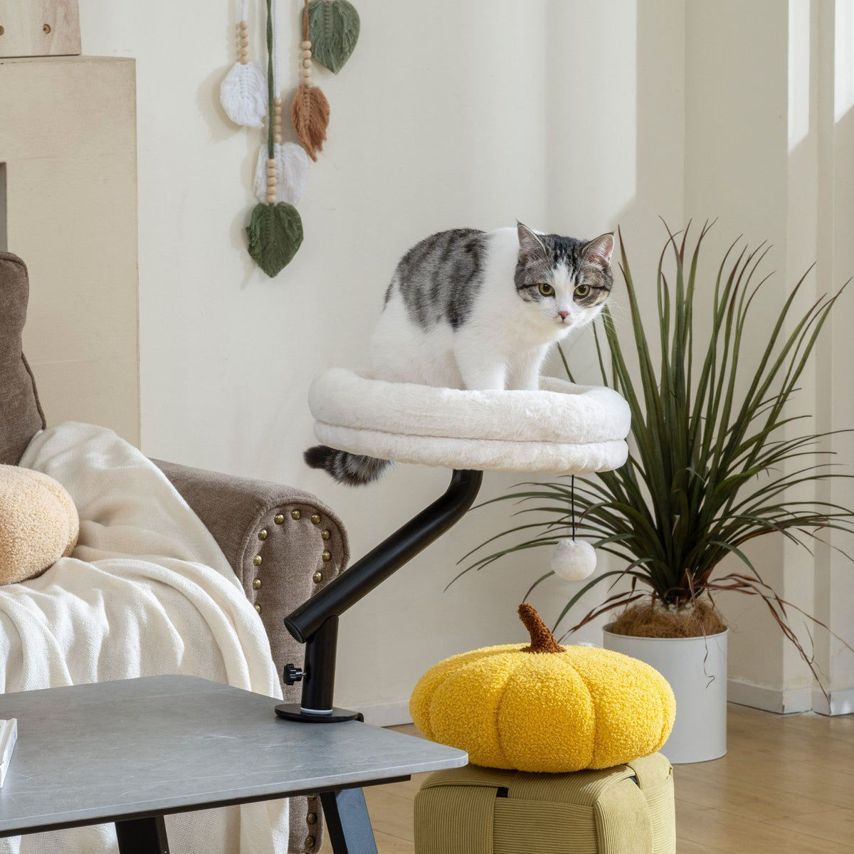 Kattenbed, 360° draaibaar, verstelbare hoogte, crèmekleurig