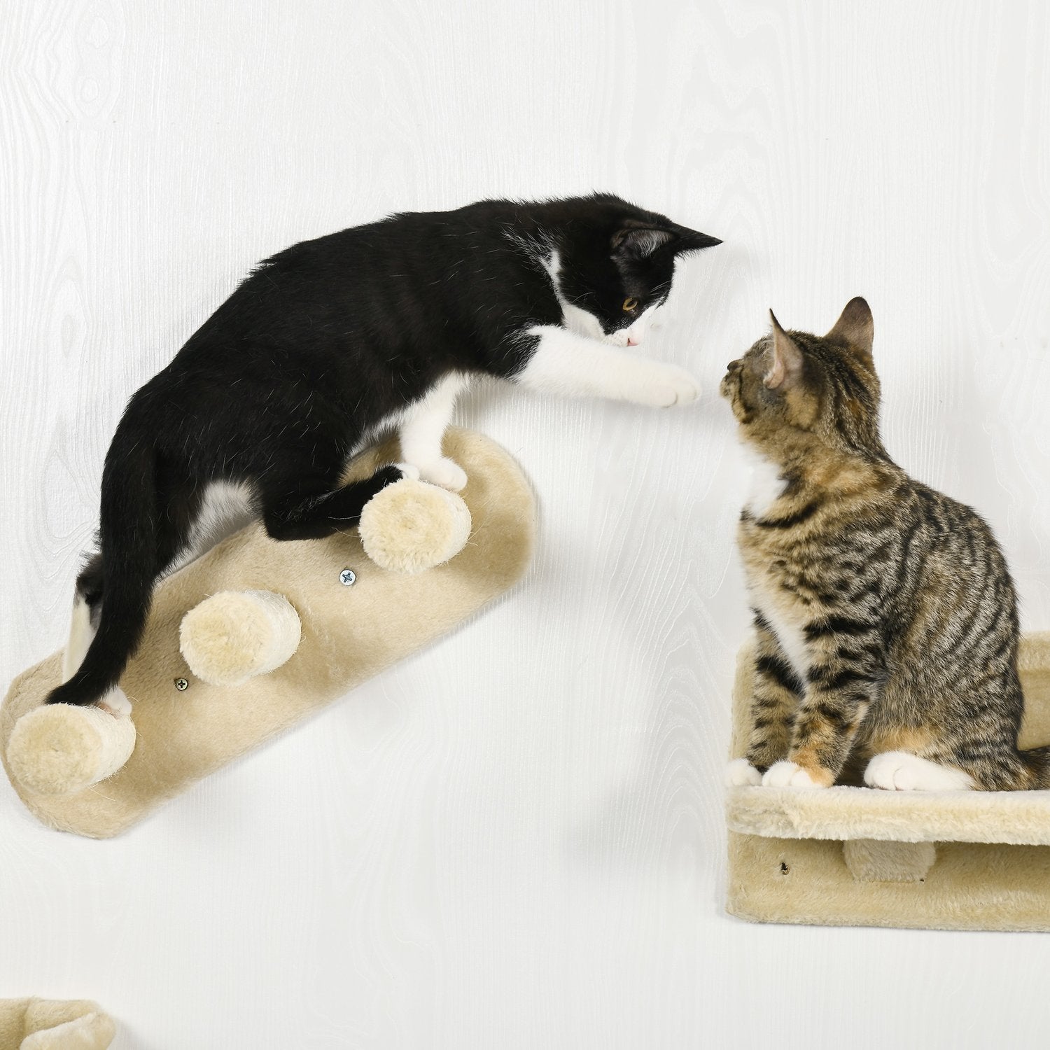 Kattklätterväggsset med trappor & hängmatta för små katter