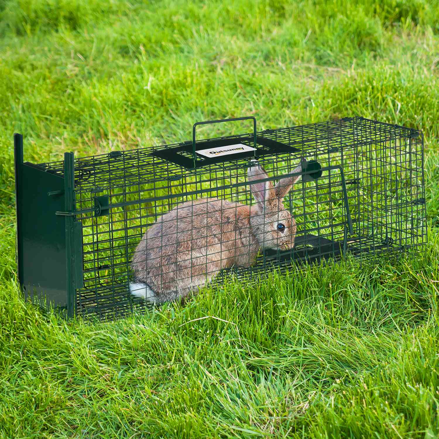 Levende val voor marters en ratten, staal, 60x18x20 cm