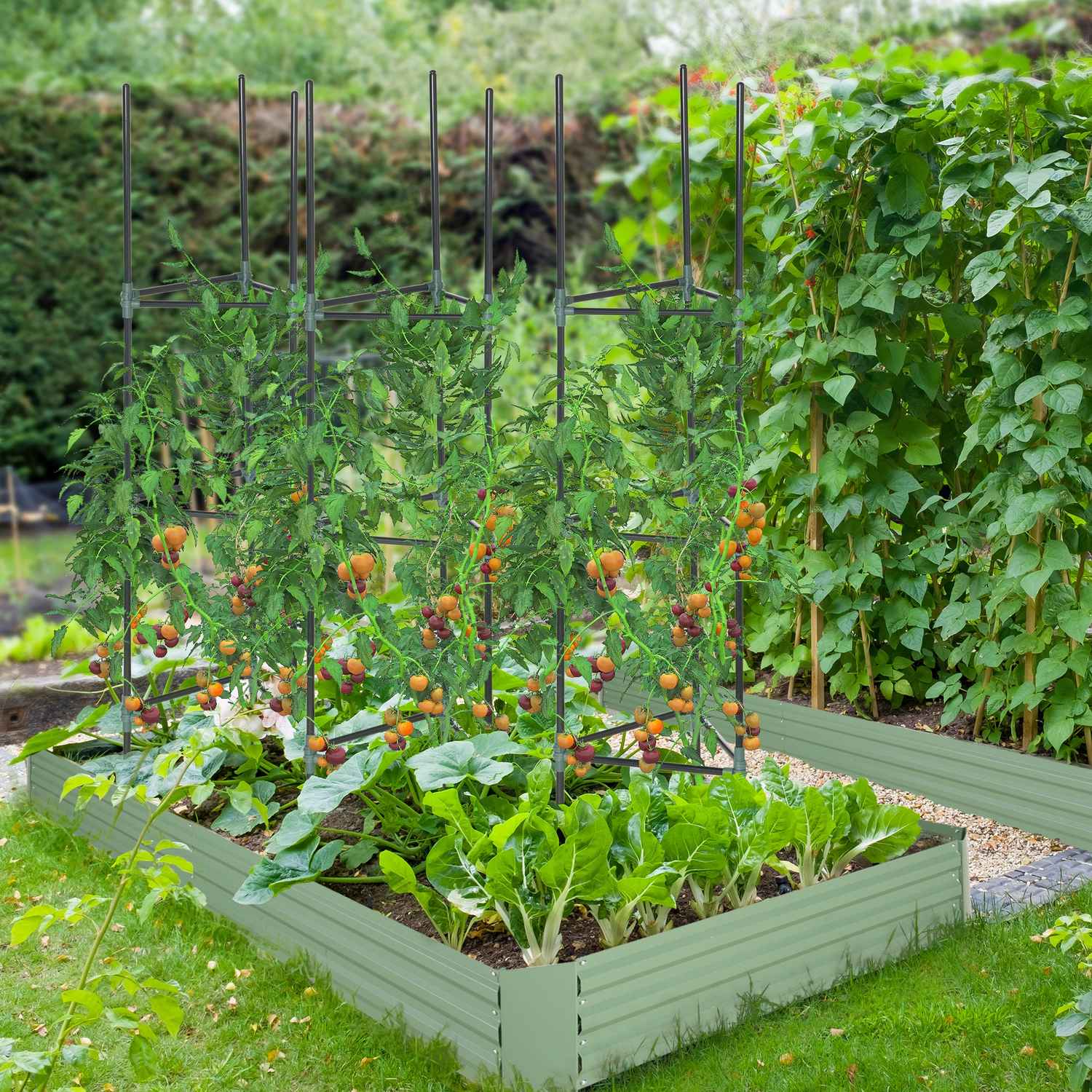 Tuinspalier van staal voor klimplanten, set van 3