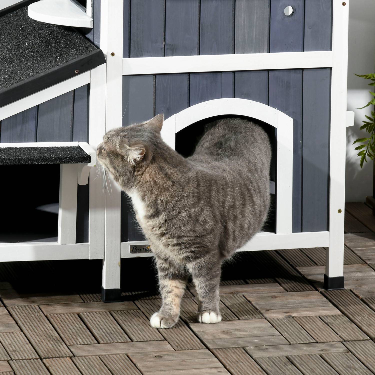 Buitenhok voor katten, sparrenhout, 2 verdiepingen, asfalt dak