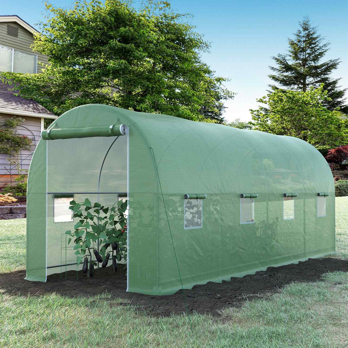 Kweektunnel met ramen, groen, 5x2x2,1m