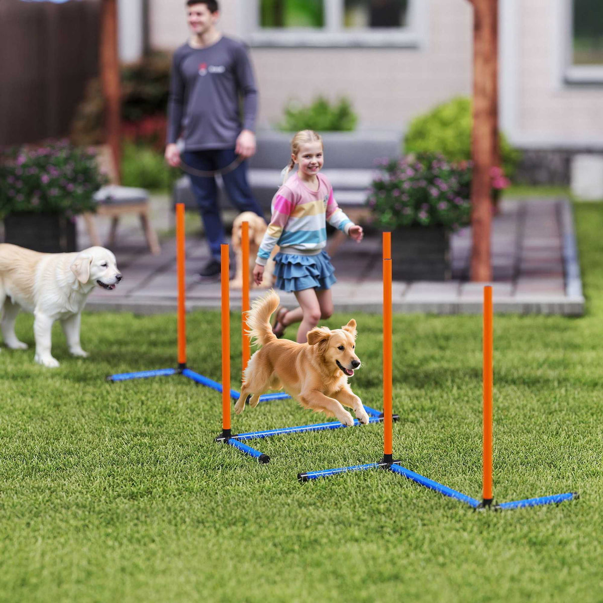Agilityset voor honden, draagbaar met verstelbare slalomstokken