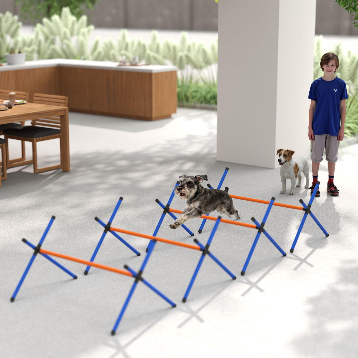 Agilitytrainingsset voor honden, verstelbare hoogtes, draagbaar