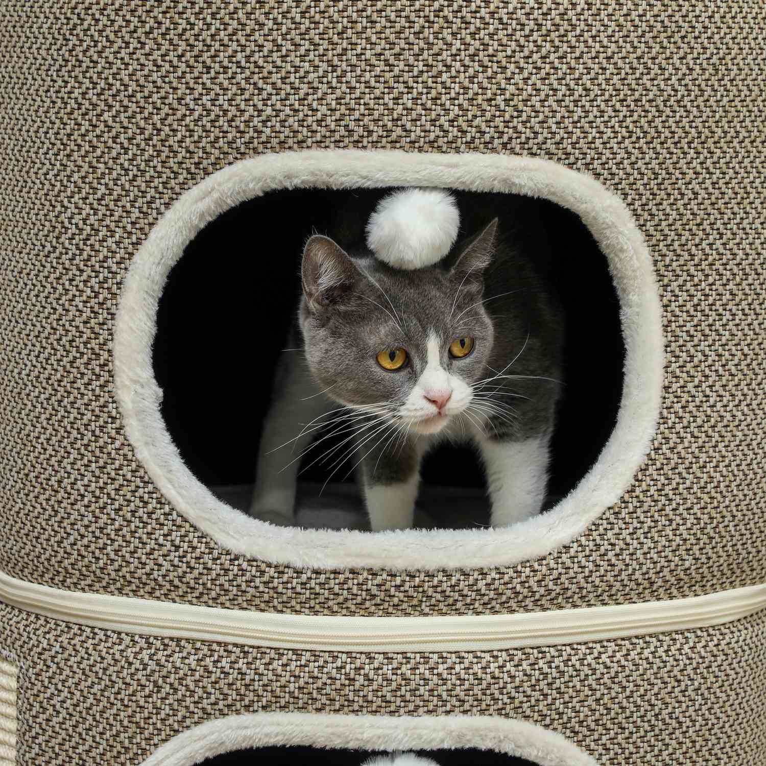Krabton – 2 grotten, sisal, 69 cm, koffie/crème