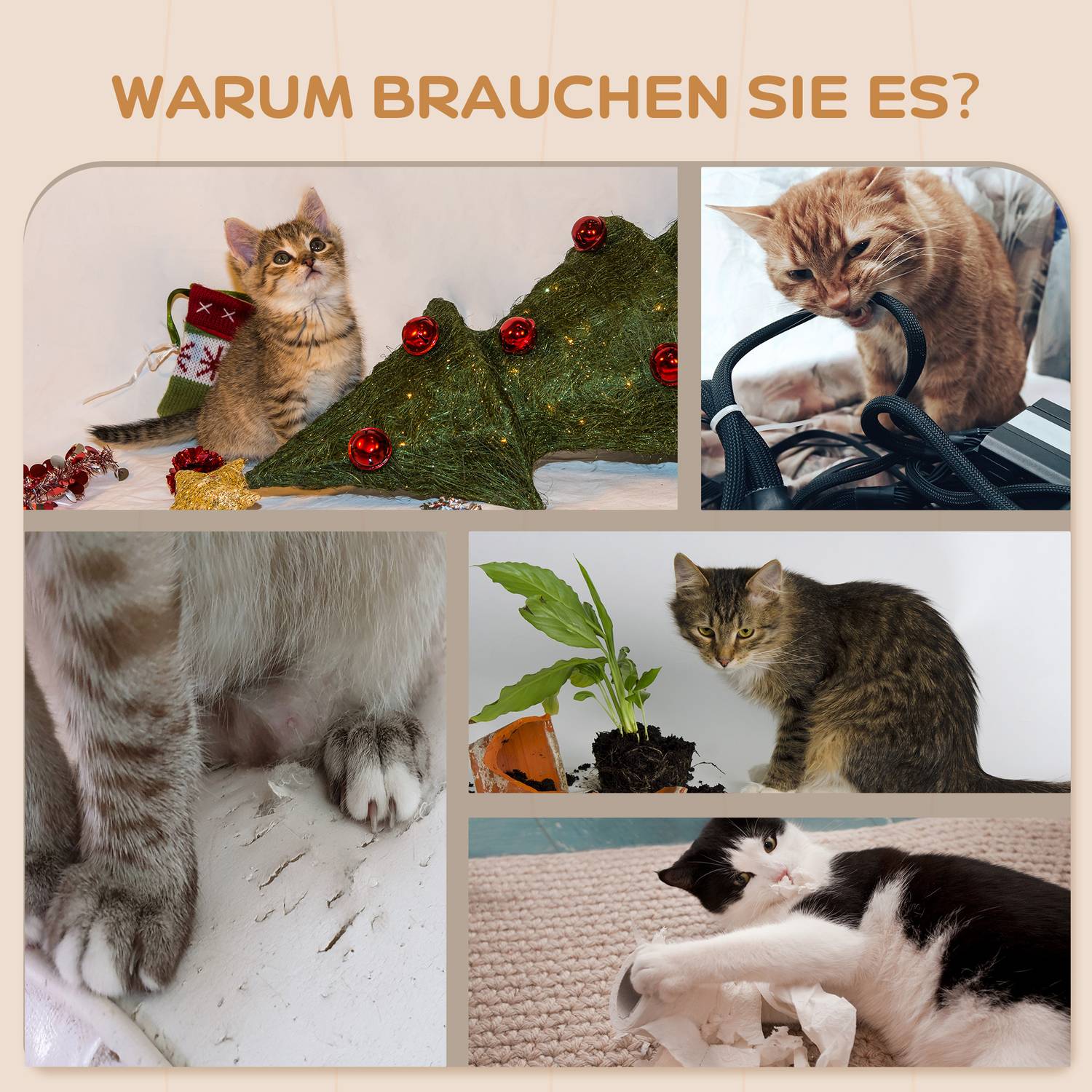 Kattenklimwandsset, 4-delig pluchen meubel, beige