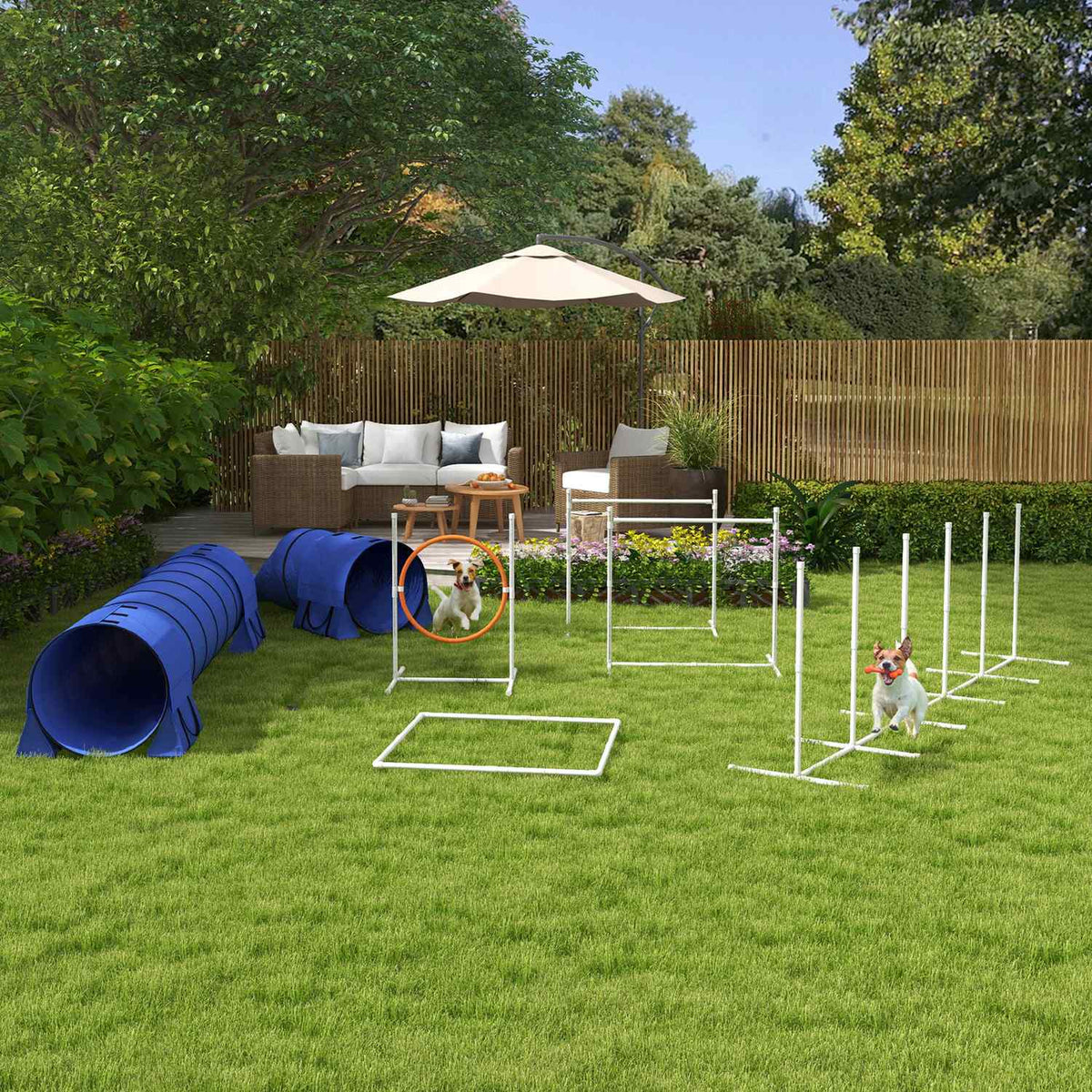 Dog Agility Set met verstelbare hindernissen en tunnel