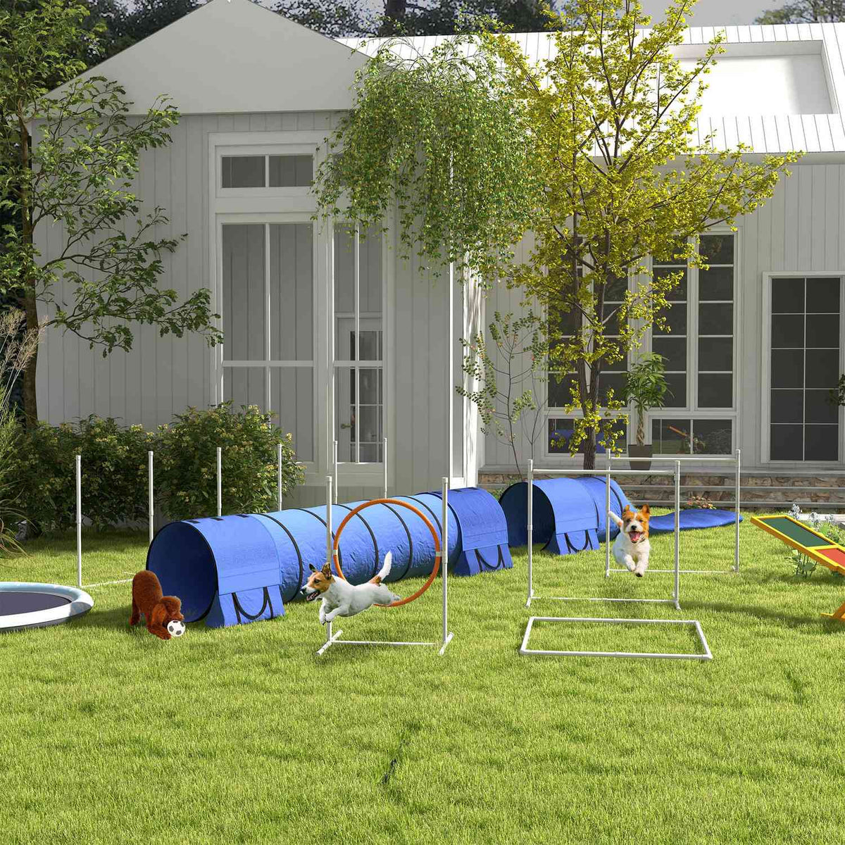 Dog Agility Set met verstelbare hindernissen en tunnel