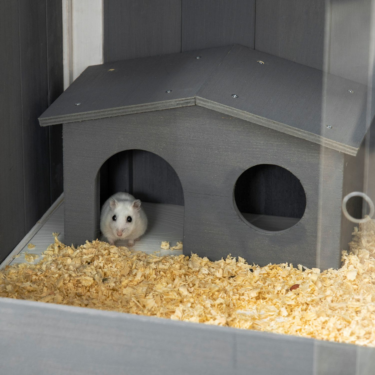 Dwerghamsterkooi van hout met huisjes en accessoires, 82 cm
