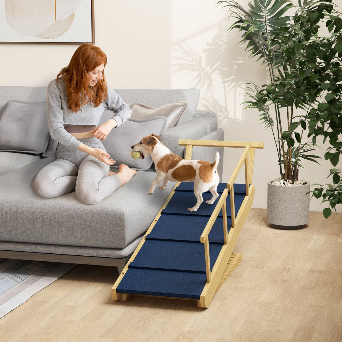 Opvouwbare hondenloopplank met leuningen, antislip, tot 40 kg