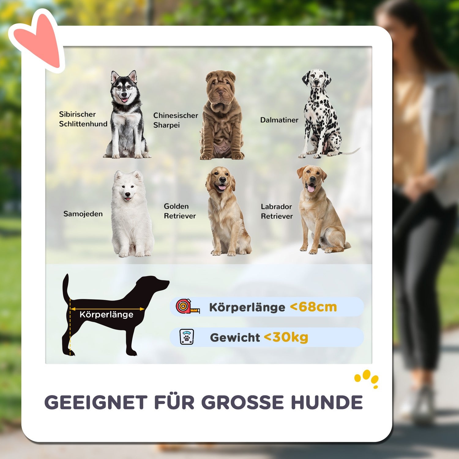 Poussette pour animaux pliante pour grands chiens et chats jusqu'à 30 kg