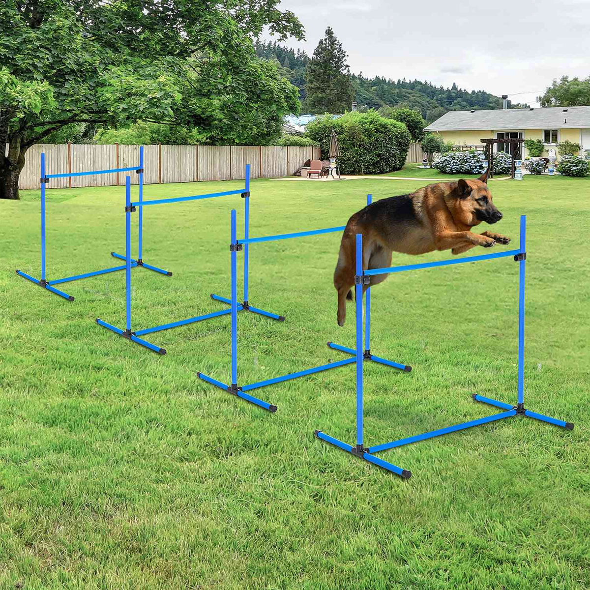 Honden Agility Training Set – 4 blauwe plastic hordes