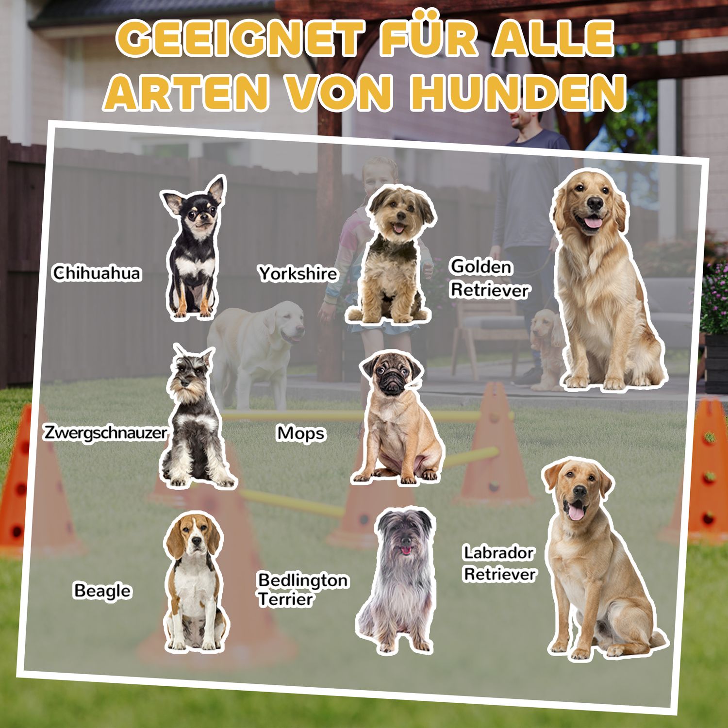 Set d'entraînement agility pour chien – 6 obstacles réglables, 12 cônes
