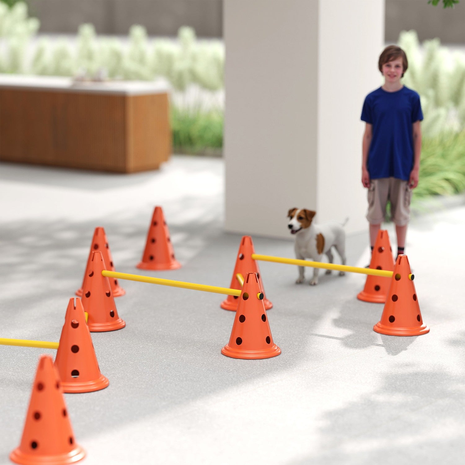 Set d'entraînement agility pour chien – 6 obstacles réglables, 12 cônes