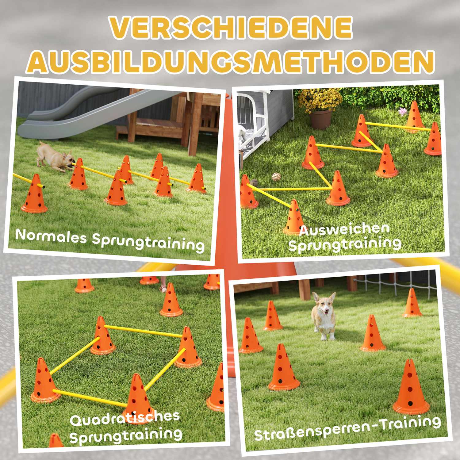 Set d'entraînement agility pour chien – 6 obstacles réglables, 12 cônes