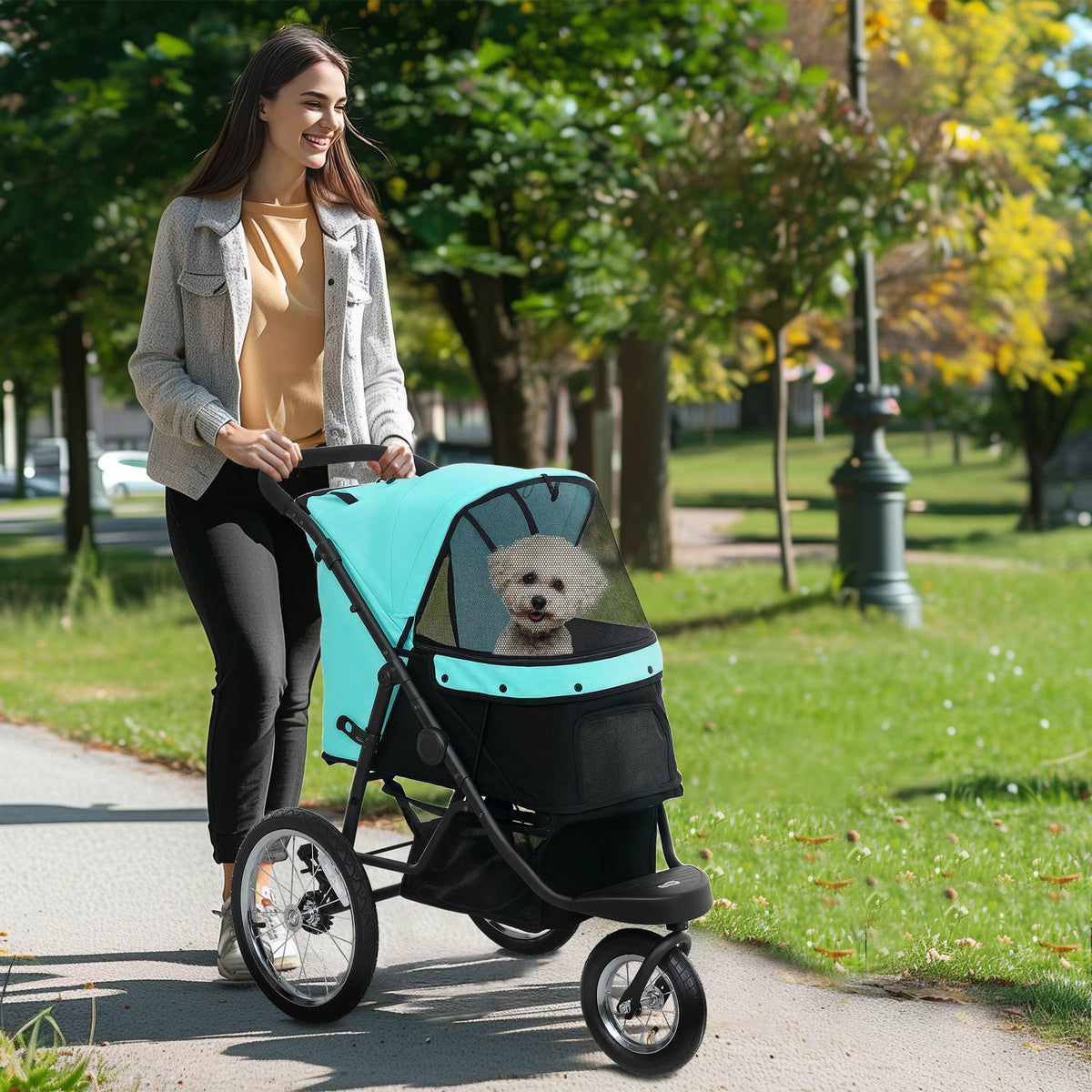 Hondenbuggy jogger, opvouwbaar, voor huisdieren tot 10 kg, turquoise