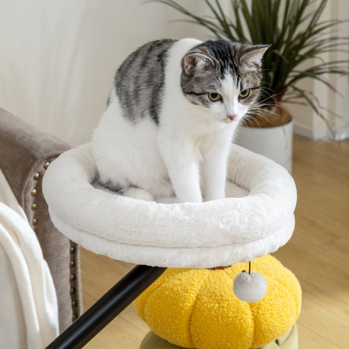 Kattenbed, 360° draaibaar, verstelbare hoogte, crèmekleurig