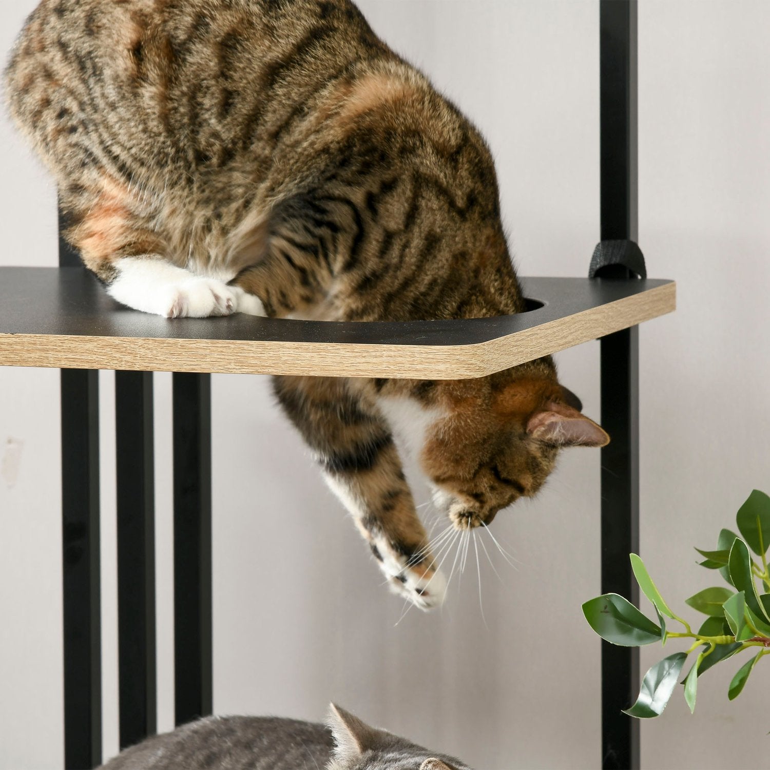 Arbre à chat 170cm, grand acier noir avec coussins & plateformes