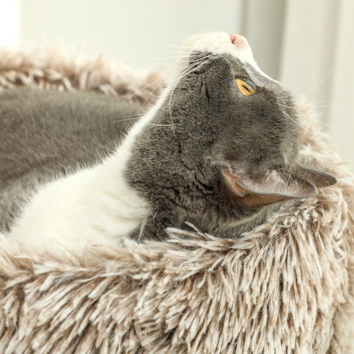 Krabpaal met bedje – 87 cm hoog, sisal, voor katten tot 6 kg