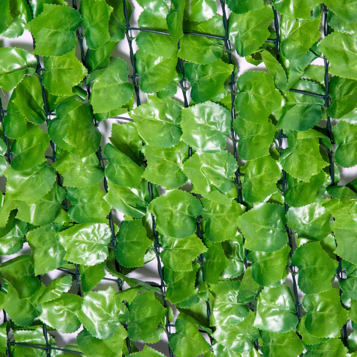Kunsthaag, privacyscherm 300x150 cm – Lichtgroen