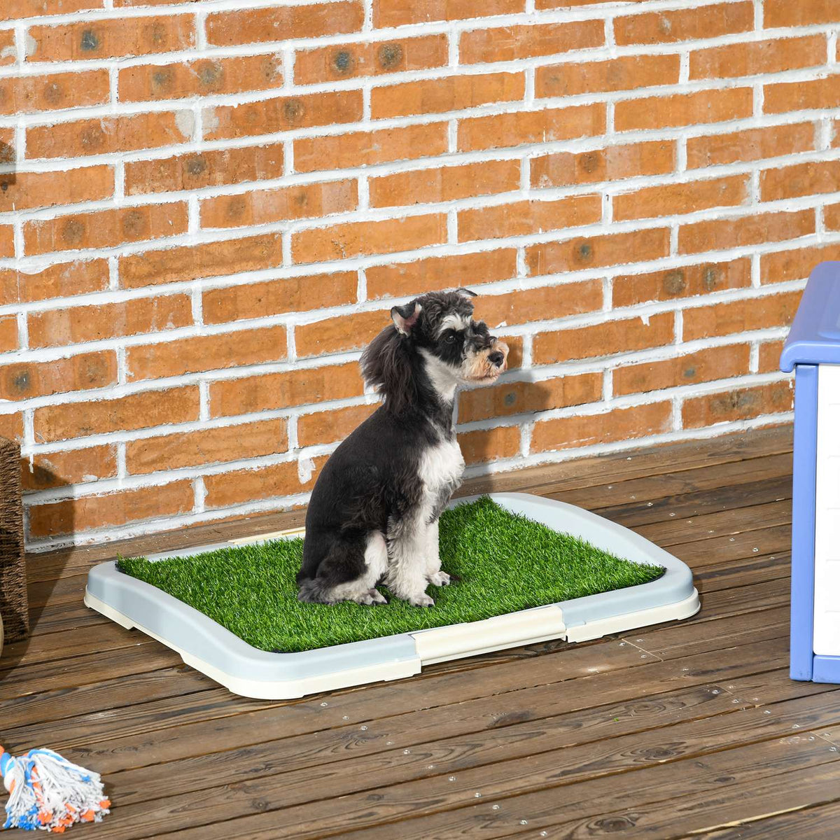 Kunstgras hondentoilet, blauw, 63x48,5 cm