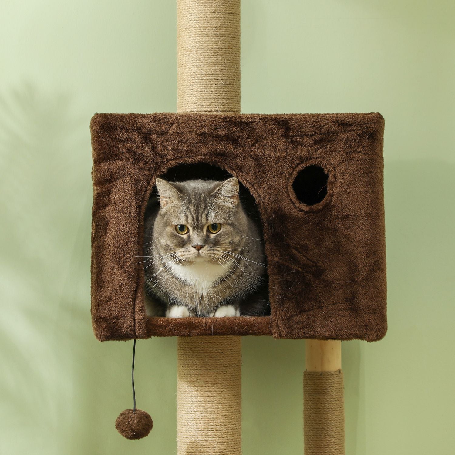 Kattenkrabpaal tot aan het plafond met hol & speelbal 225-265 cm