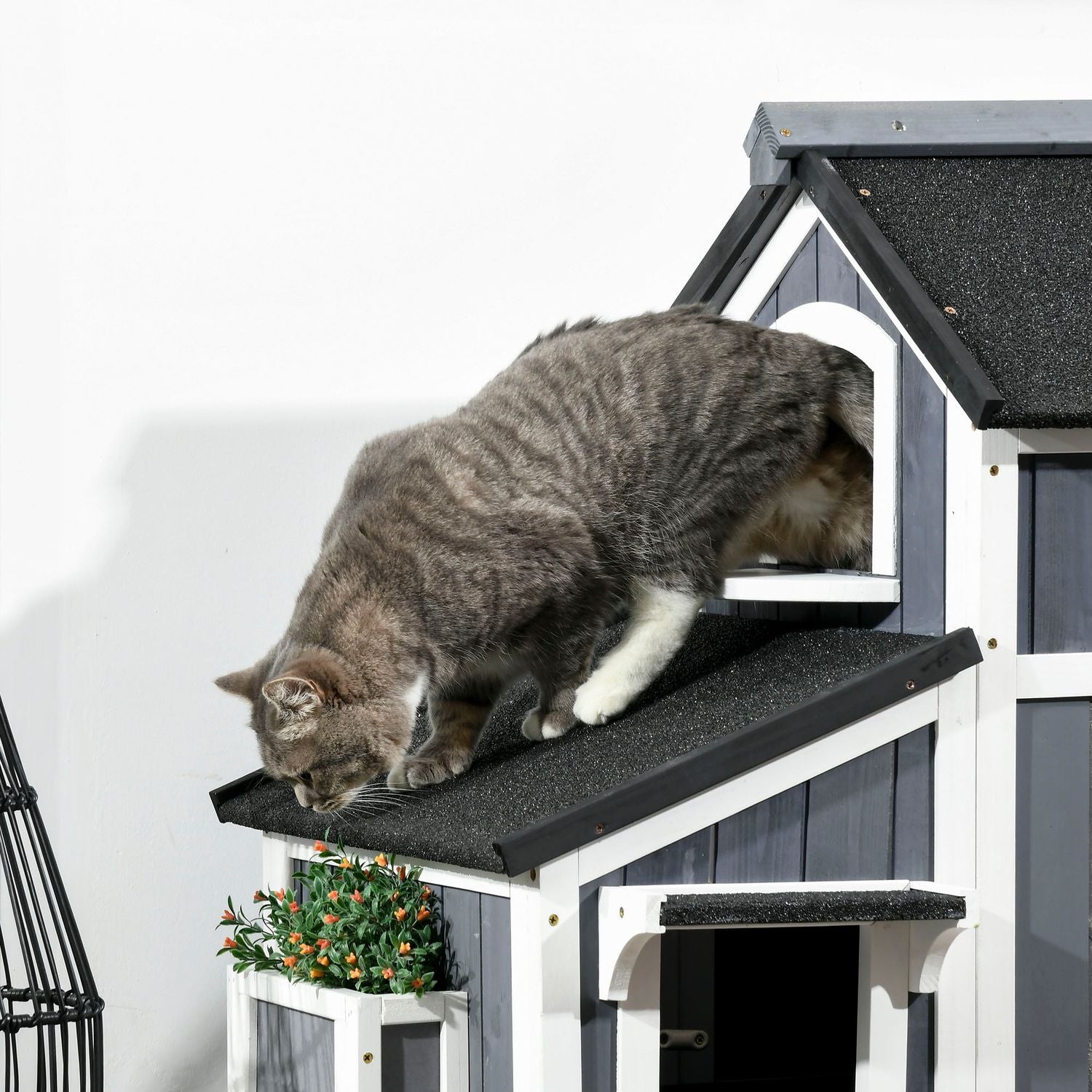 Buitenhok voor katten, sparrenhout, 2 verdiepingen, asfalt dak